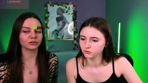 Meow online show from November 29, 11:29 am