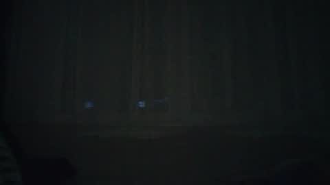 nemcahot online show from November 1, 5:56 pm