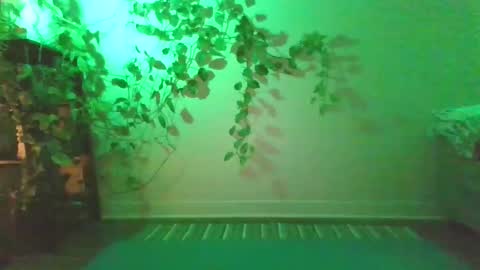 luna online show from December 27, 10:48 pm