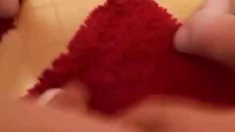 BookWriter online show from February 17, 7:26 am