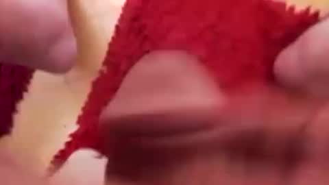 BookWriter online show from January 16, 6:56 am