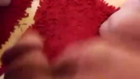 BookWriter online show from December 31, 5:55 am