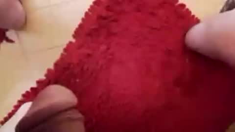 BookWriter online show from February 23, 6:49 am