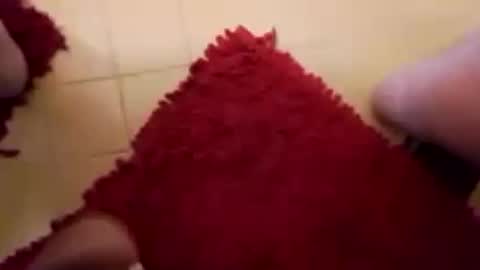 BookWriter online show from February 15, 7:38 am