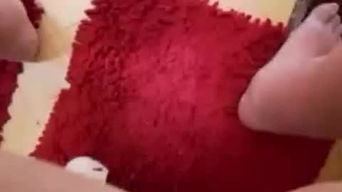 BookWriter online show from March 4, 6:58 am