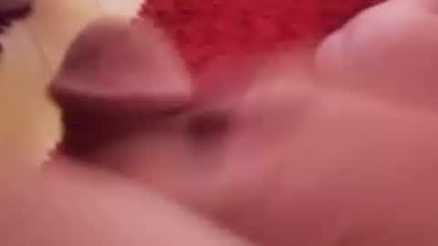 BookWriter online show from January 14, 7:06 am