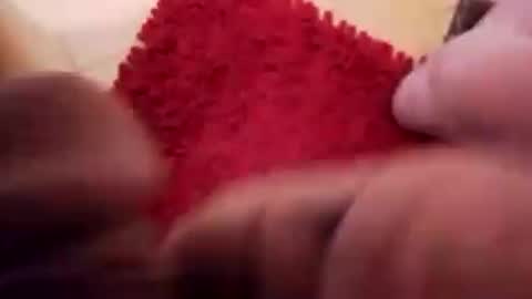 BookWriter online show from December 13, 8:20 am