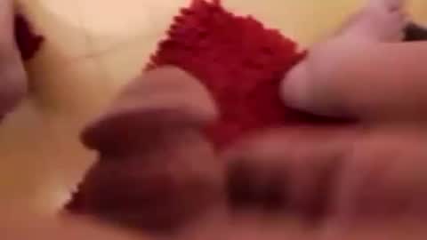 BookWriter online show from March 9, 7:01 am