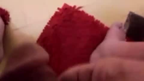 BookWriter online show from February 12, 7:02 am