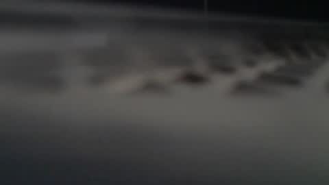 ni983 online show from September 15, 11:01 am