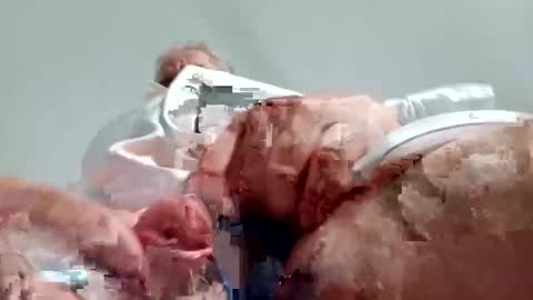 TheCock online show from December 28, 8:58 am