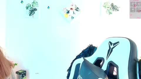 Nicol online show from January 11, 4:06 am