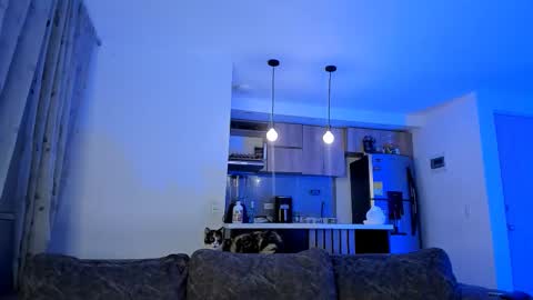 Nicol online show from January 7, 11:32 pm