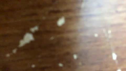 nightmoves1970 online show from October 20, 3:00 am