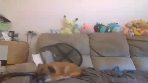 Brian and Logan Brogan online show from October 26, 1:45 pm