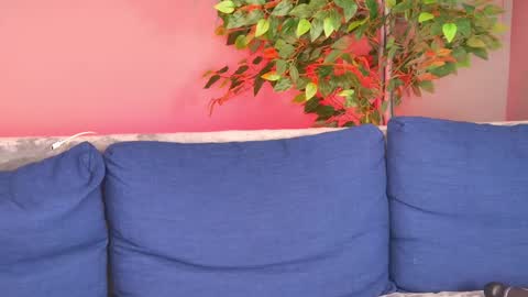 Nina online show from May 24, 4:13 pm