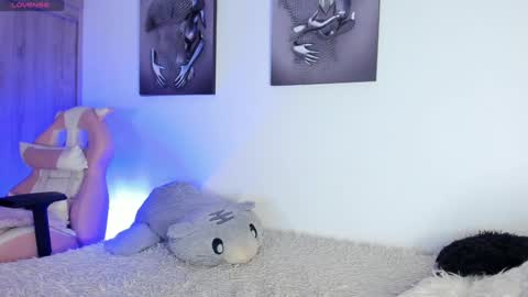 Noah online show from February 3, 4:04 am