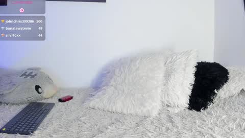 Noah online show from January 20, 3:26 am