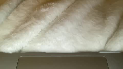 noscandal online show from December 21, 5:03 am