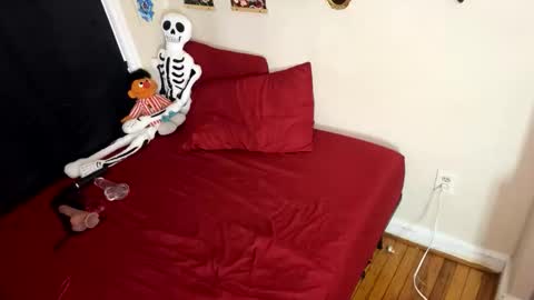 Nymphaea online show from January 10, 1:00 am