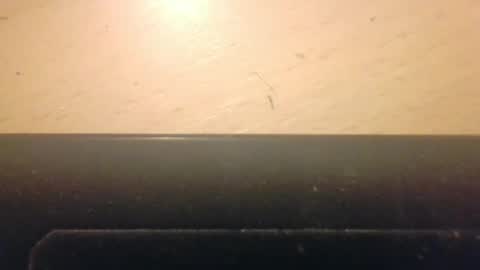 nymphmaster1 online show from February 19, 12:46 am