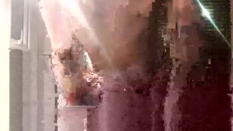 nzwgtn online show from November 5, 4:20 pm