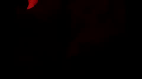 odibbs online show from March 29, 5:42 am