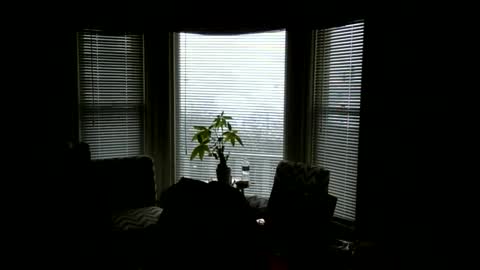 oscar flores online show from January 14, 2:36 pm