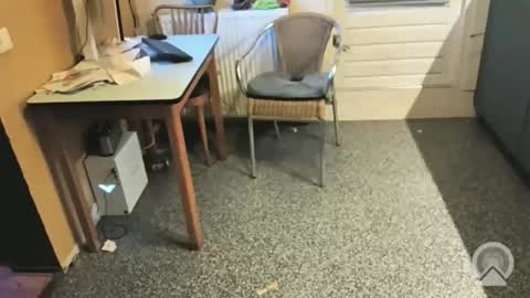 oldersagger online show from November 15, 11:17 pm