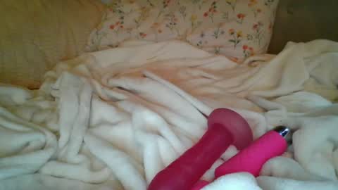 olivia2739 online show from June 28, 11:12 pm