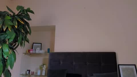 Rica online show from April 22, 12:34 pm