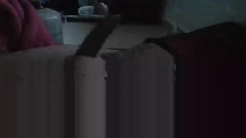 omza99 online show from February 10, 12:19 pm