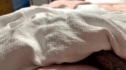 onethiccock online show from September 16, 6:05 am