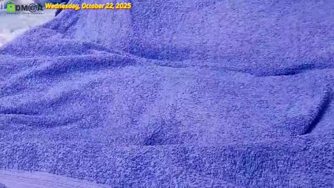 Snapshot of ornimegalonyx chatting on October 22, 4:52 pm Owl online show from October 22, 4:52 pm