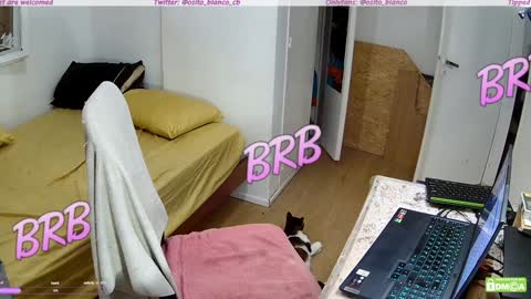 Osito Blanco online show from January 30, 5:19 am