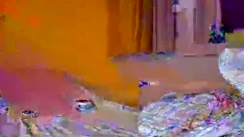 Pachoxx9 online show from February 1, 10:44 pm