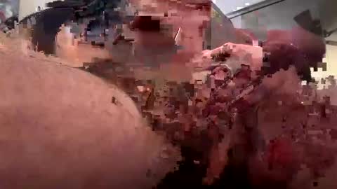 Rothkohammer online show from February 10, 1:33 pm