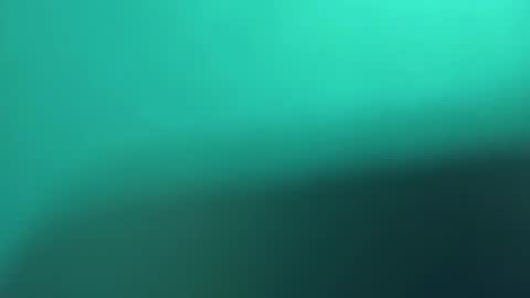   PALA online show from March 8, 11:18 pm