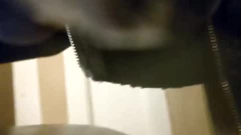 pals199301 online show from November 23, 11:36 pm