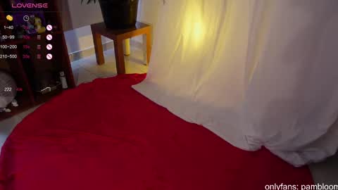     online show from March 8, 6:05 pm