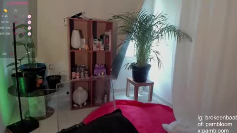     online show from February 26, 8:15 pm