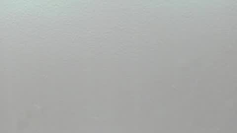  P A M  online show from February 1, 4:09 am