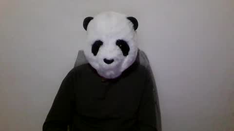 Panda online show from December 7, 7:16 pm