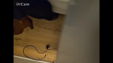 pantyhose_ggggg online show from November 22, 8:51 pm