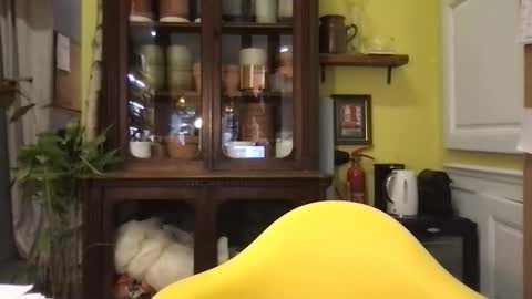 passifhot3 online show from February 17, 9:41 am