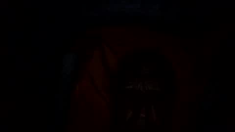 Pati24 online show from November 2, 2:11 am