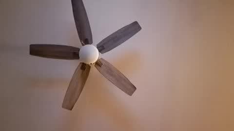 patrick247288 online show from November 11, 7:10 am