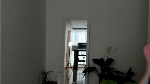 paulina online show from December 1, 8:33 pm