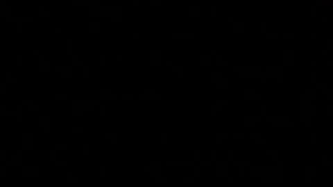 Paul online show from October 25, 7:03 pm