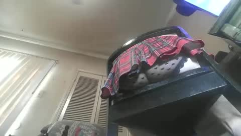 Paulvert online show from January 12, 10:17 pm